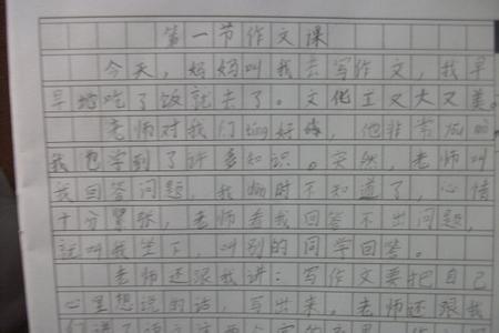 第一堂课作文小学 第一堂课作文