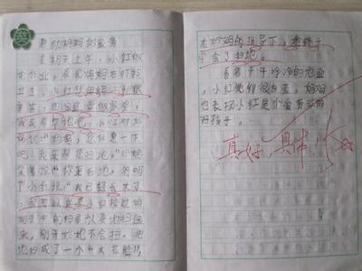 做家务的作文100字 帮妈妈做家务作文100字