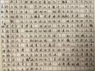 高一新起点作文800字 又是一个新起点作文