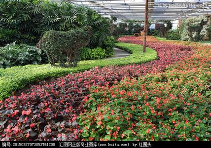 世界花卉大观园游览图 游世界花卉大观园