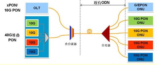 沉香木简介及特征 PON PON-简介，PON-特征