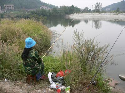 冬季野钓鲫鱼视频大全 秋冬钓鱼技巧