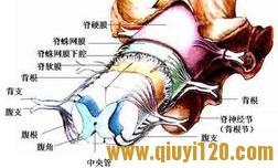 视神经脊髓炎病因 脊髓炎 脊髓炎-疾病症状，脊髓炎-疾病病因