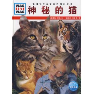 音乐剧猫的故事简介 《猫》 《猫》-简介，《猫》-《猫》曾一度成为音乐剧的代名词