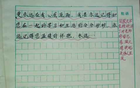 难忘的老师作文600字 难忘的小学老师作文