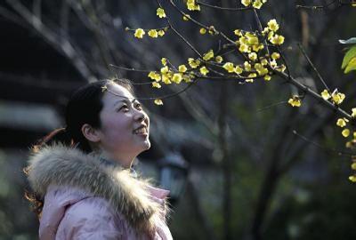 四季芬芳 你若幸福，四季芬芳