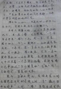 新来的数学老师作文 新来的老师作文