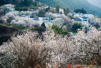 樱桃沟滑雪场 西乡樱桃沟作文