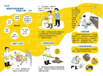 h7n9禽流感的临床表现 H7N9 H7N9-病毒简介，H7N9-临床表现