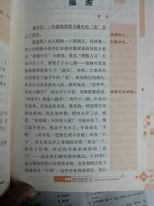 快乐的童年作文250字 快乐的童年作文200字