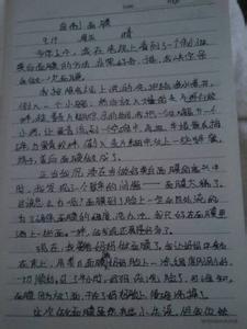 关于记事的作文300字 关于记事的作文