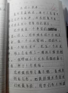 我的好伙伴作文700字 我的好伙伴作文600字