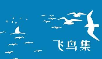 飞鸟集读后感800字 《飞鸟集》读后感800