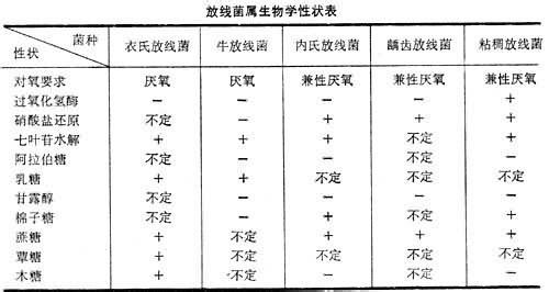 放线菌属 马杜拉放线菌属 马杜拉放线菌属-基本信息，马杜拉放线菌属-描述