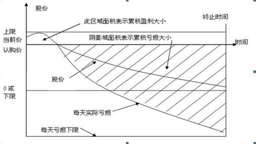 累计期权 累计期权KODA 累计期权KODA-特性，累计期权KODA-操作