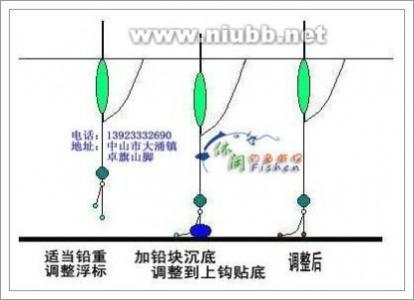 钓虾用什么饵 钓虾技巧