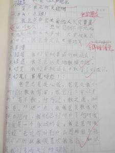 描写全神贯注作文600子 全神贯注作文