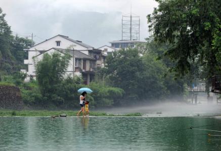 丁香结宗璞阅读答案 江南雨，丁香结