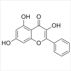 中药化学成分 营实 营实-中药化学成分，营实-各家论述