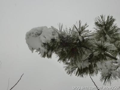 雪花飘舞的图片 雪花飘舞的时候