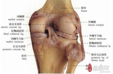 骨质增生外敷灵 骨质增生外敷灵 骨质增生外敷灵-基本概述，骨质增生外敷灵-骨质