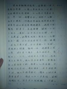 这个人真奇怪作文500字 这个人真奇怪作文