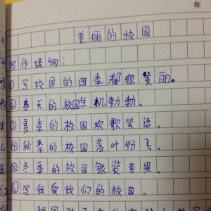 美丽的小学作文100字 美丽的小学作文