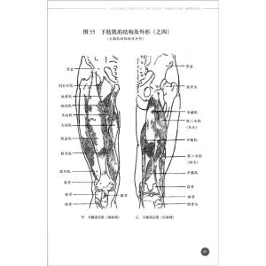 图书内容简介怎么写 人体结构学 人体结构学-图书信息，人体结构学-内容简介