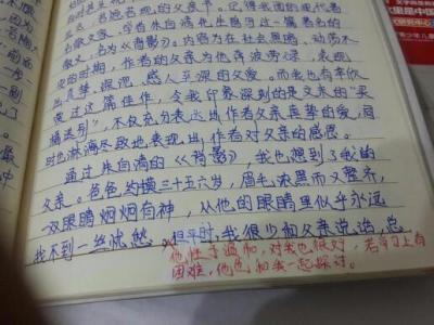 我最爱的人作文400字 我最爱的人作文