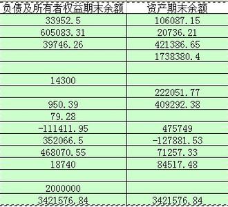 丁字帐自动生成报表 丁字帐 丁字帐-操作方法，丁字帐-发展状况