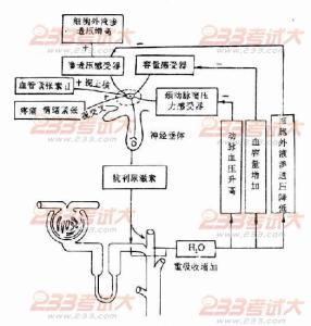 运动生理学课程简介 利尿药 利尿药-简介，利尿药-生理学