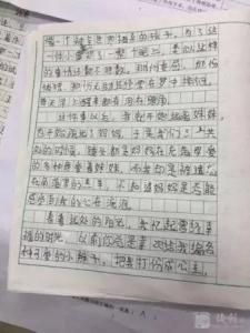 老师我想对你说20字 小学生作文老师我想对你说