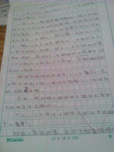 难忘的秋季运动会500字 难忘的运动会作文500字