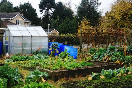 allotments allotment