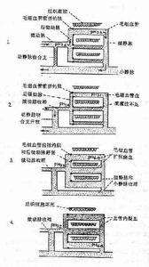 revit基本概念介绍 病理生理学 病理生理学-基本概念，病理生理学-基本介绍