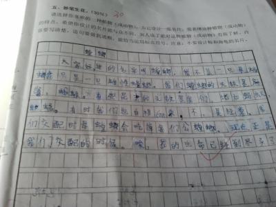 解决问题作文300字 解决问题三年级作文