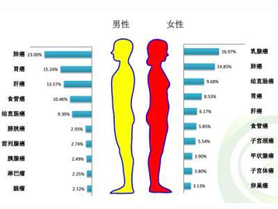 基因突变和染色体畸变 突变 突变-基因突变，突变-染色体突变