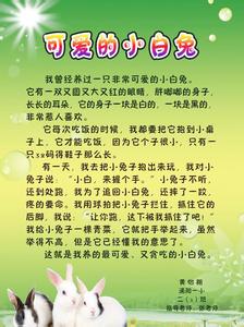 教师与学校共同成长 我与学校共成长作文