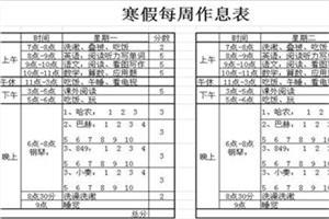 2015年小学生寒假学习计划表