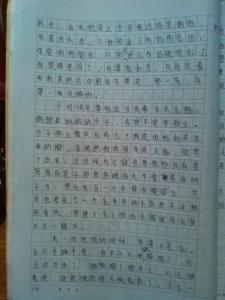 定格在记忆中的画面 定格在记忆中的画面作文600字（4篇）