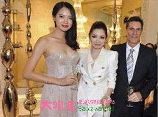 王京阳和叶静子离婚 叶静子老公王京阳资料