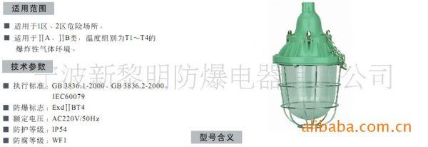 防爆灯具 防爆灯具 防爆灯具-基本内容，防爆灯具-防爆灯具