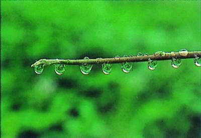 赞扬及时雨的句子 一场及时雨