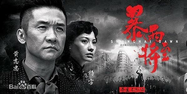 暴雨将至剧情介绍 《暴雨将至》 《暴雨将至》-剧情简介，《暴雨将至》-花絮