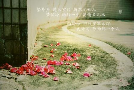 昨夜闲潭梦落花by梨花 昨夜闲潭梦落花