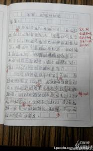 关于照片的作文400字 关于照片的作文