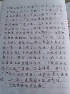 我家的故事作文700字 我家的故事作文500字