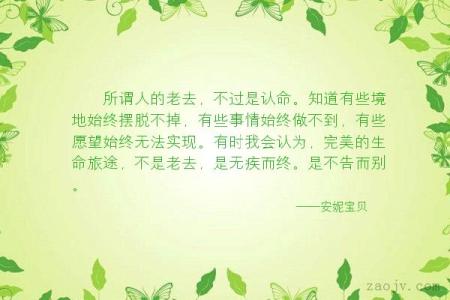 公司简介英文翻译 无疾而终 无疾而终-词语简介，无疾而终-英文翻译