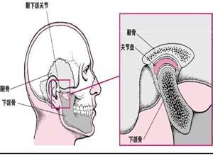 下颔图片 下颔