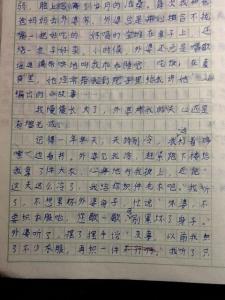 作文:快乐的回忆 快乐的回忆作文400字（4篇）